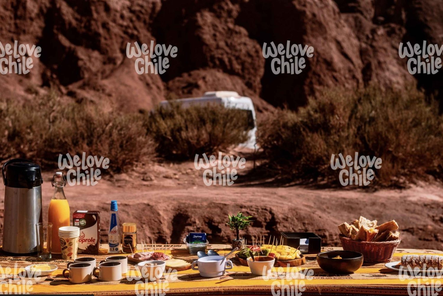 Visite d'une journée complète à Piedras Rojas et aux lagunes altiplaniques