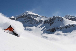 Valle Nevado and Farellones Small Group Tour from Santiago