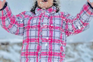 Valle Nevado, El colorado y farellones Panorâmico dia inteiro