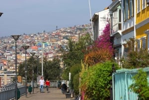Valparaiso 3-Hour Walking Tour