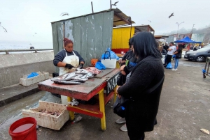 Valparaíso : Visite privée d'une journée avec trajet en funiculaire