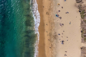 Valparaíso og Viña de Mar: privat tur fra Santiago de Chile