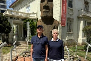 Valparaíso y Viña del Mar: tour con arte, cultura y playa desde Santiago