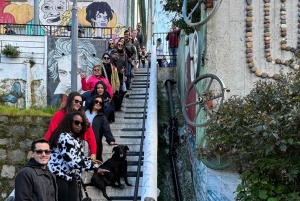 Valparaíso y Viña del Mar: tour con arte, cultura y playa desde Santiago