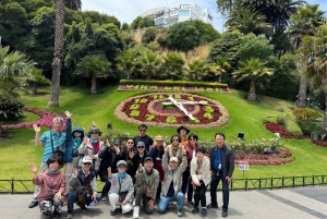 Valparaíso y Viña del Mar: tour con arte, cultura y playa desde Santiago