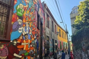 Valparaiso & Casablanca | Städtetour & Weinprobe