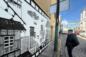 Valparaiso & Casablanca | Städtetour & Weinprobe