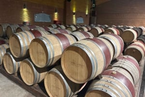 Valparaiso & Casablanca | Städtetour & Weinprobe