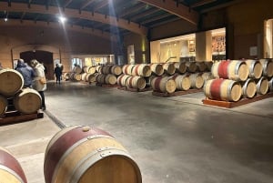 Valparaiso & Casablanca | Städtetour & Weinprobe