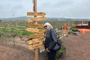 Valparaiso & Casablanca | Städtetour & Weinprobe