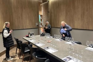 Valparaiso & Casablanca | Städtetour & Weinprobe