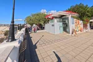 Valparaiso & Casablanca | Städtetour & Weinprobe