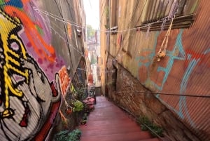 Valparaiso & Casablanca | Städtetour & Weinprobe