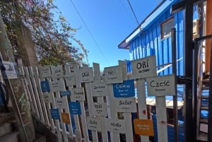 Valparaiso & Casablanca | Städtetour & Weinprobe