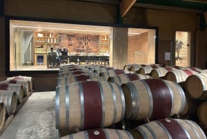 Valparaiso & Casablanca | Städtetour & Weinprobe