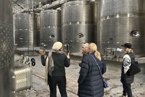 Valparaiso & Casablanca | Städtetour & Weinprobe