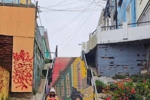 Valparaíso: City Highlights Tour with Viña del Mar