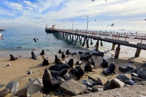 Вальпараисо: Полнодневная частная экскурсия с поездкой на фуникулере