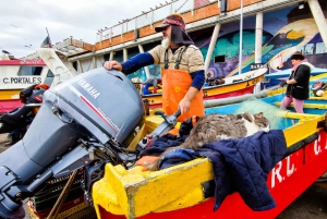 Вальпараисо: Полнодневная частная экскурсия с поездкой на фуникулере