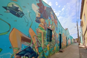 Вальпараисо: Полнодневная частная экскурсия с поездкой на фуникулере