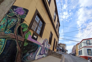 Вальпараисо: Полнодневная частная экскурсия с поездкой на фуникулере