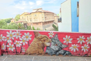 Вальпараисо: Полнодневная частная экскурсия с поездкой на фуникулере