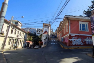 Вальпараисо: Полнодневная частная экскурсия с поездкой на фуникулере