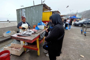 Вальпараисо: Полнодневная частная экскурсия с поездкой на фуникулере
