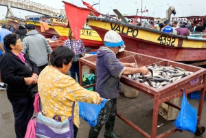 Вальпараисо: Полнодневная частная экскурсия с поездкой на фуникулере
