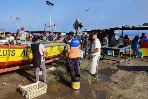 Вальпараисо: Полнодневная частная экскурсия с поездкой на фуникулере