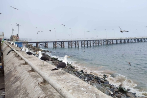 Вальпараисо: Полнодневная частная экскурсия с поездкой на фуникулере