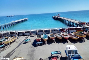 Вальпараисо: Полнодневная частная экскурсия с поездкой на фуникулере