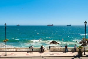 Valparaíso: Tour panoramico privato di un giorno intero