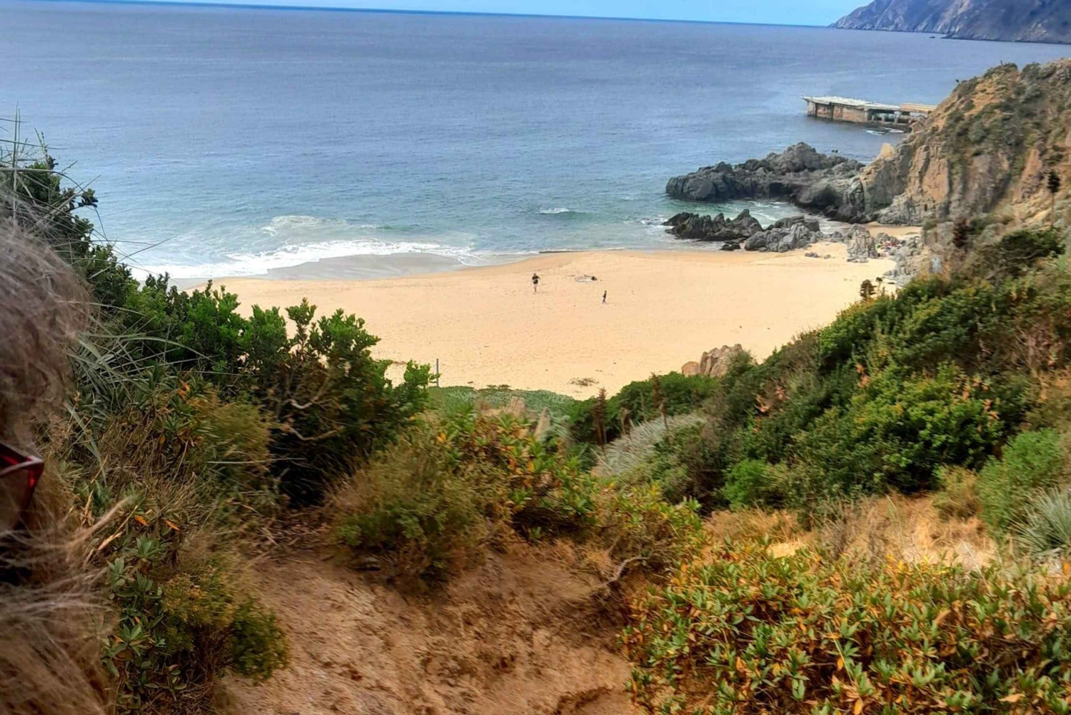 Valparaíso: Tagestour zum Strand und Wald von Laguna Verde