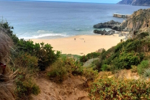 Valparaíso: Tagestour zum Strand und Wald von Laguna Verde
