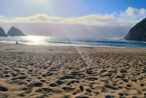 Valparaíso: Tagestour zum Strand und Wald von Laguna Verde