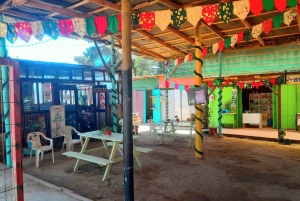 Valparaíso: Tagestour zum Strand und Wald von Laguna Verde