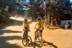 Valparaíso: Tagestour zum Strand und Wald von Laguna Verde