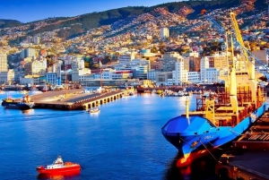 Valparaíso : Recorrido a pie con guía por los lugares de visita obligada