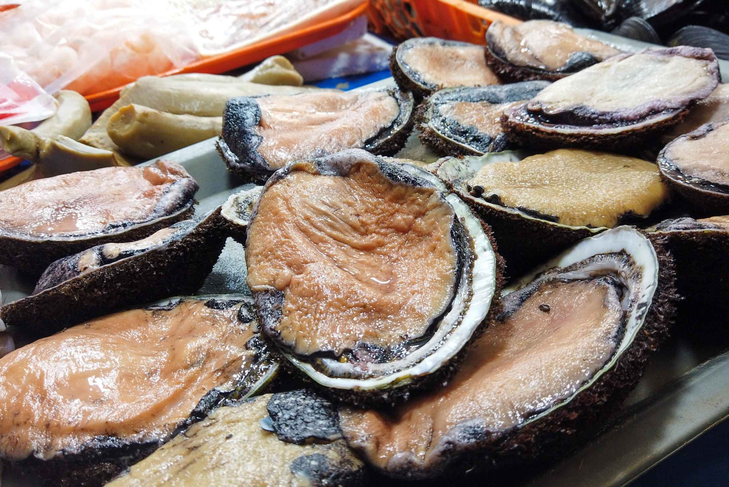 Port Valparaiso i Viña del Mar, degustacja wina w Casablance