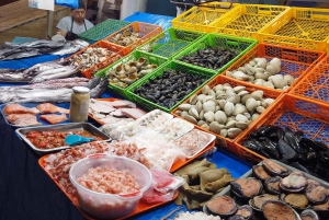 Port Valparaiso i Viña del Mar, degustacja wina w Casablance