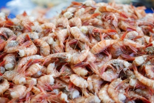 Port Valparaiso i Viña del Mar, degustacja wina w Casablance