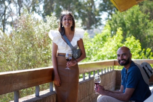 Port Valparaiso i Viña del Mar, degustacja wina w Casablance