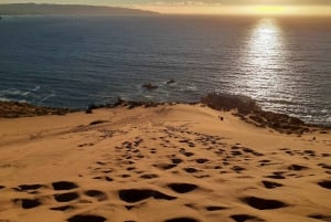 Valparaíso: Sandboarden en zonsondergang in de Concon zandduinen