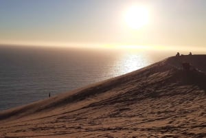 Valparaíso: Sandboarden en zonsondergang in de Concon zandduinen