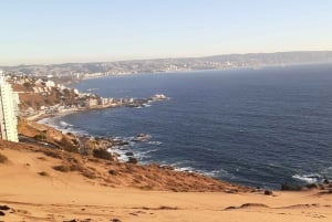 Valparaíso: Sandboarden en zonsondergang in de Concon zandduinen