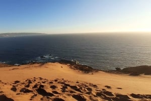 Valparaíso: Sandboarden en zonsondergang in de Concon zandduinen