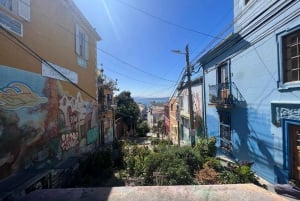 Valparaiso: Street Art Tour + lunsj i en liten gruppe