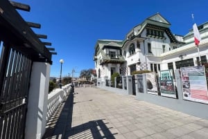 Valparaíso: Tour de Arte Callejero + Almuerzo en grupo reducido