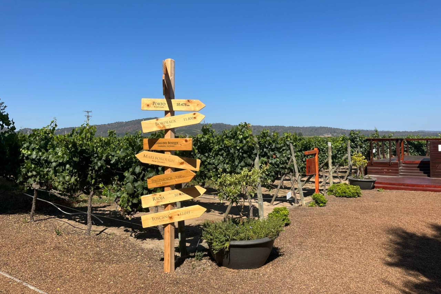 Valparaíso nach Casablanca: Weintour mit Premium-Verkostung und Transport